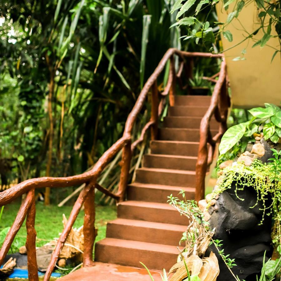 دامبولا Aloe Vera Guest House المظهر الخارجي الصورة