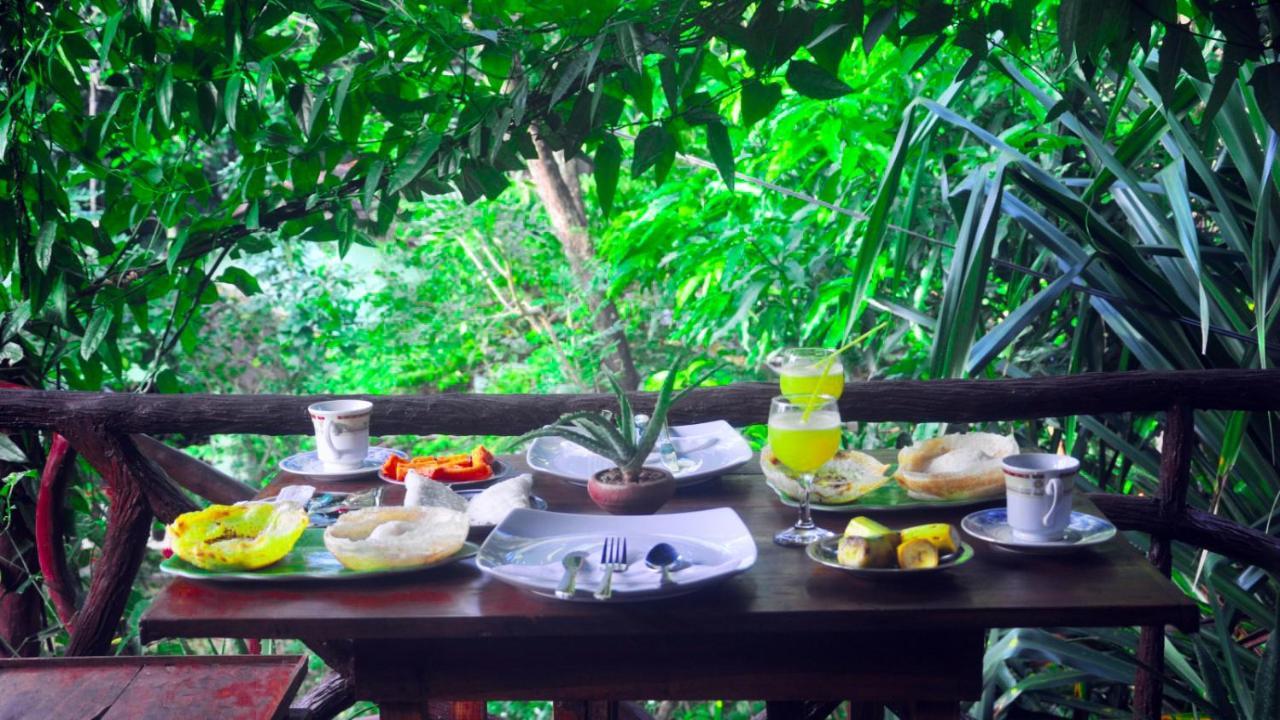 دامبولا Aloe Vera Guest House المظهر الخارجي الصورة