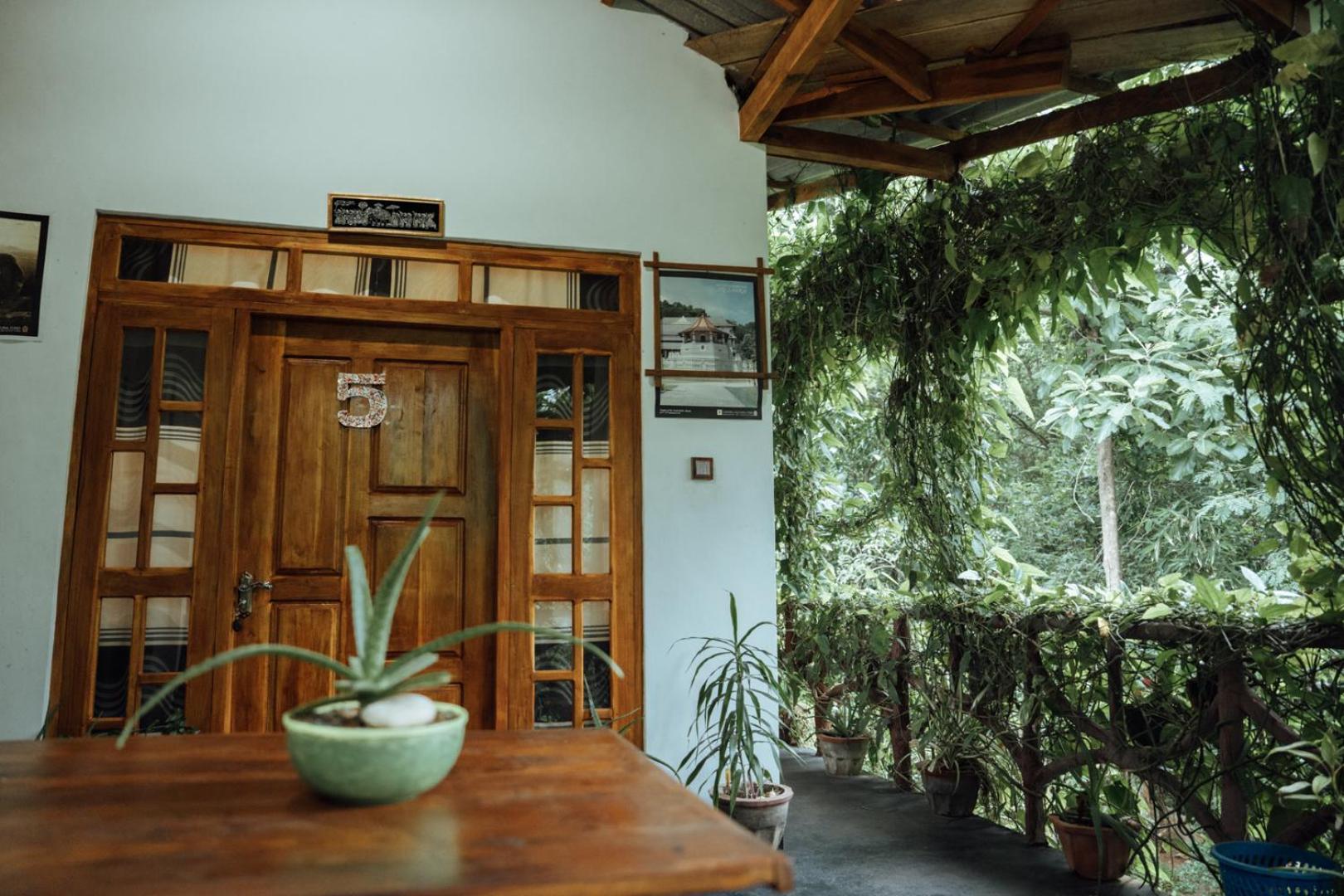 دامبولا Aloe Vera Guest House المظهر الخارجي الصورة