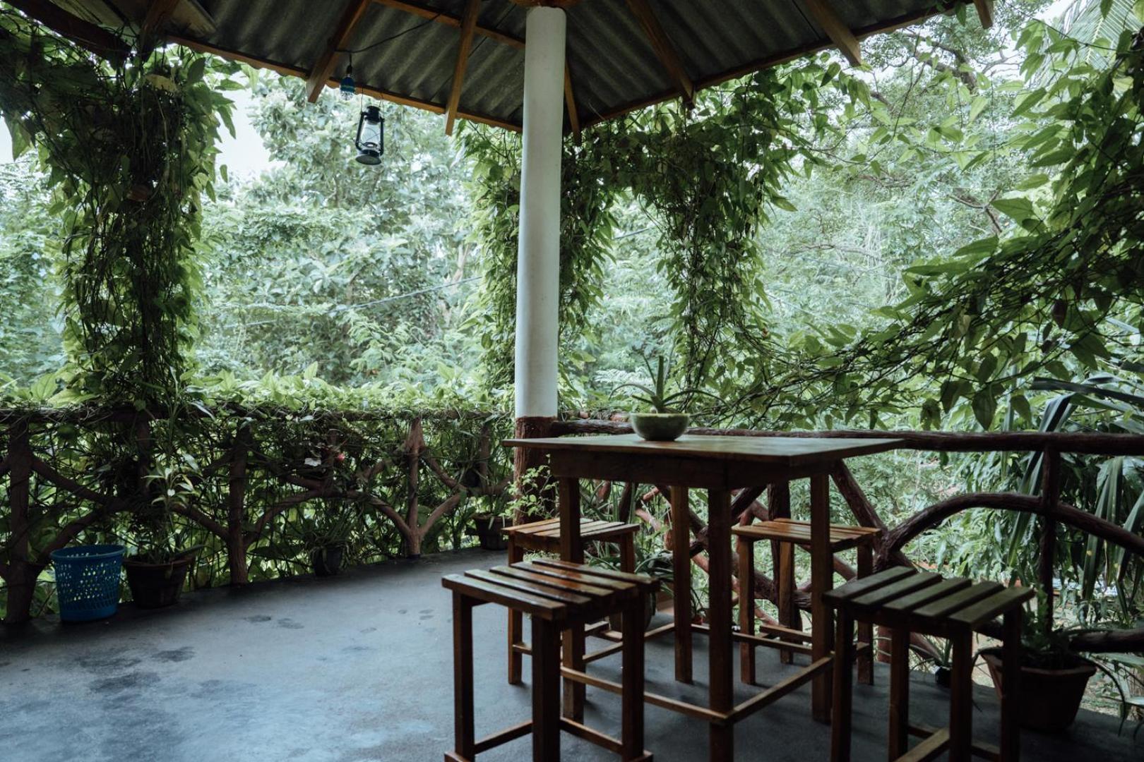 دامبولا Aloe Vera Guest House المظهر الخارجي الصورة