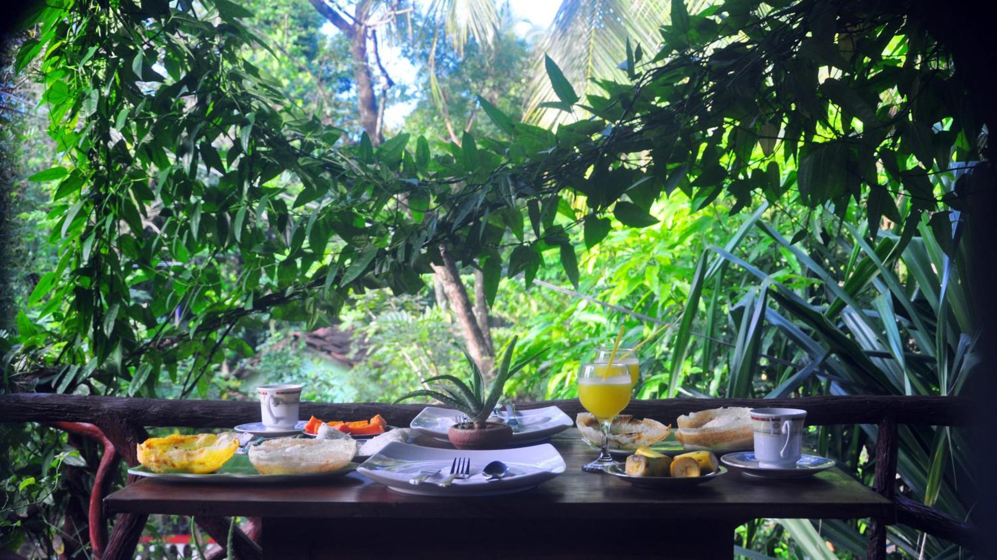دامبولا Aloe Vera Guest House المظهر الخارجي الصورة
